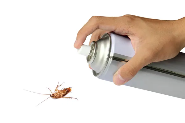 Aerosol roach killer