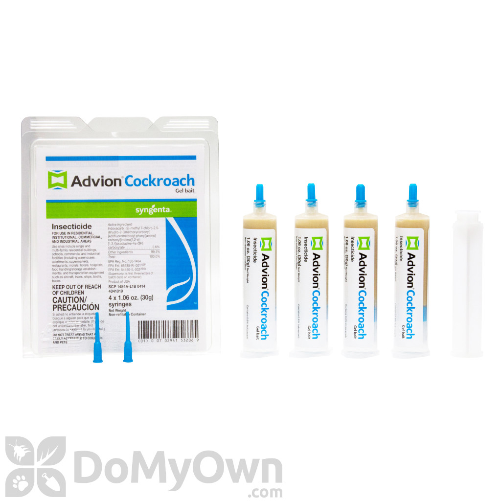 Best Roach Bait Field Tested Associate Certified Entomologist