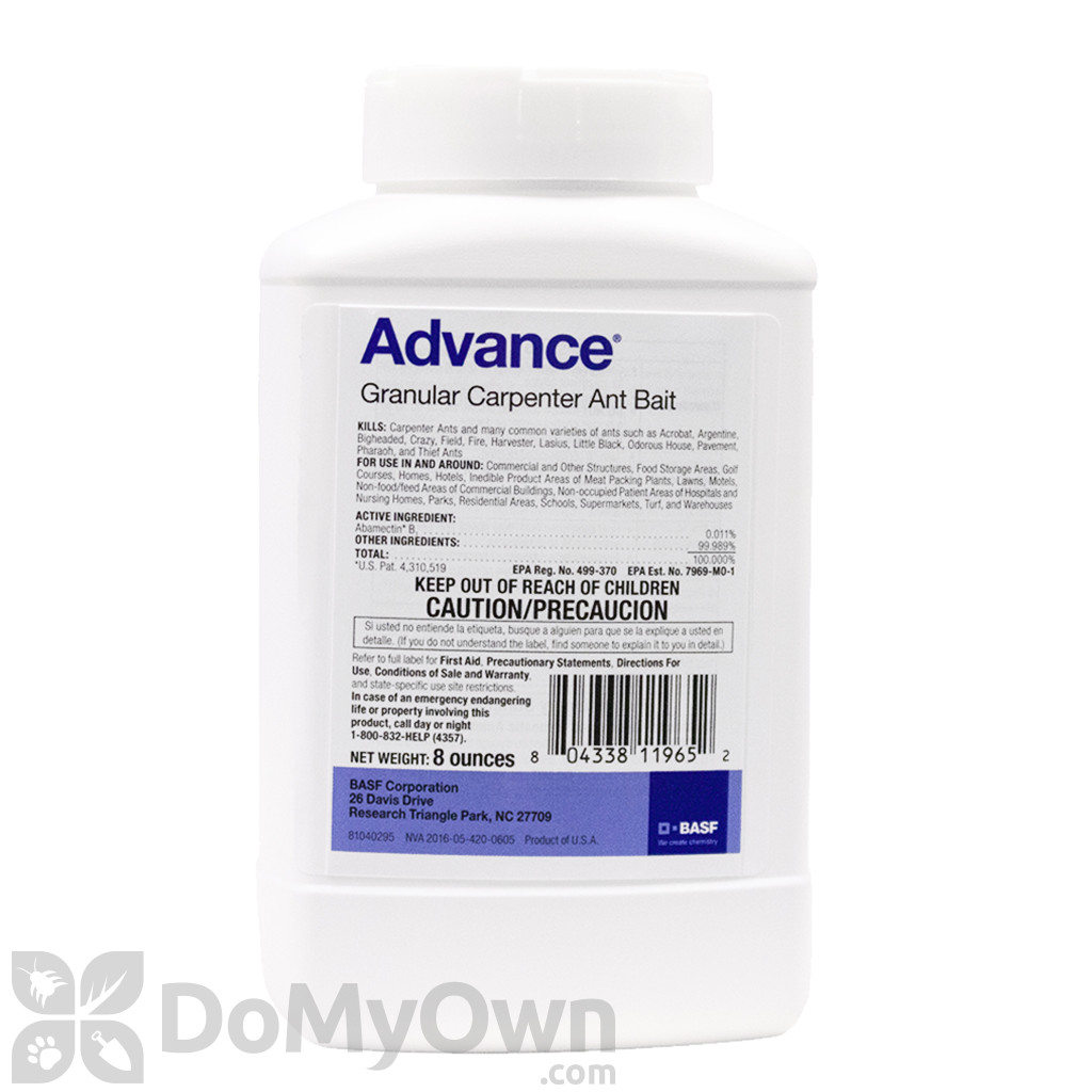 Carpenter ant bait eliminates the queen and prevents structural damage to home