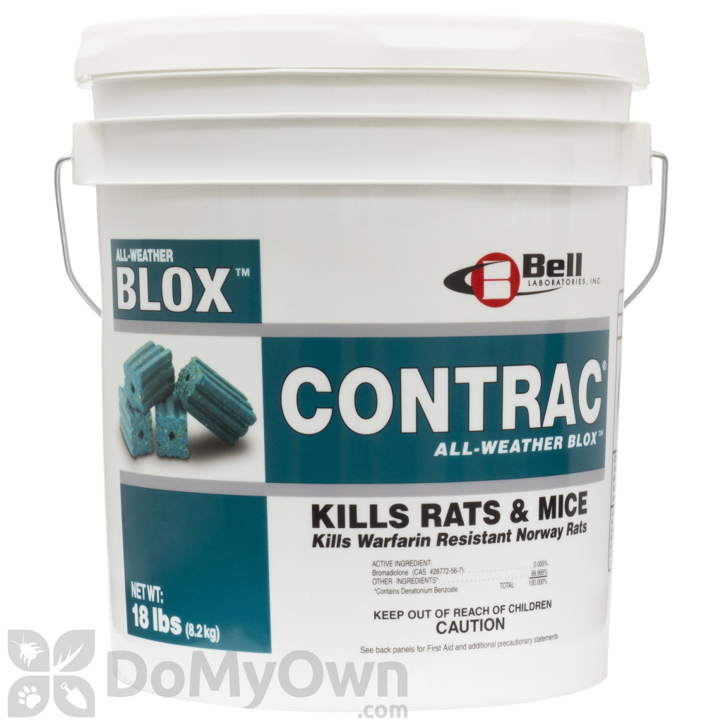 Best Rodent Bait to Kill Mice and Rats