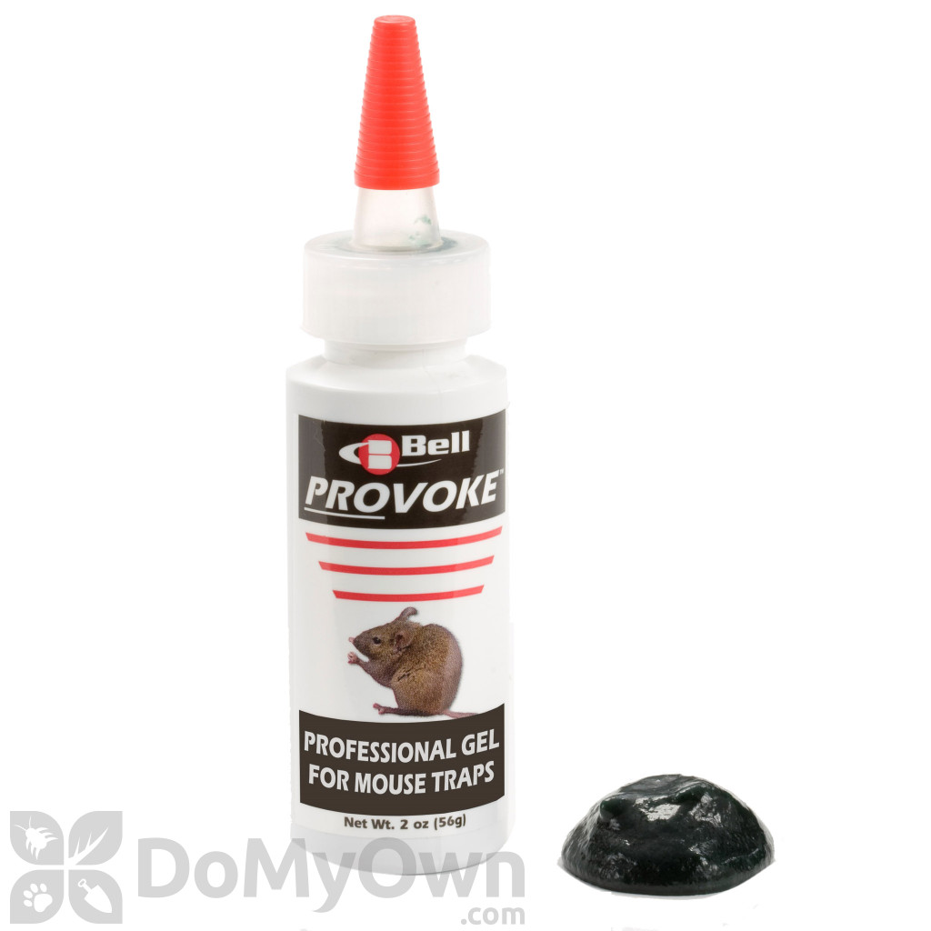 Professional Bait for Mouse Traps