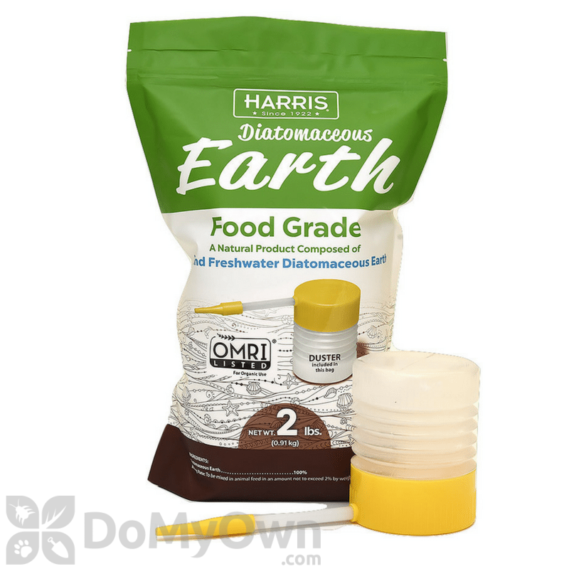 Diatomaceous Earth kills ants in kitchen naturally