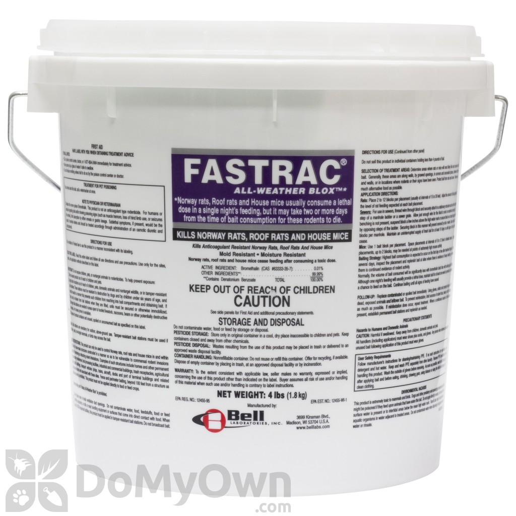 Best commercial mouse bait to kill rodents fast