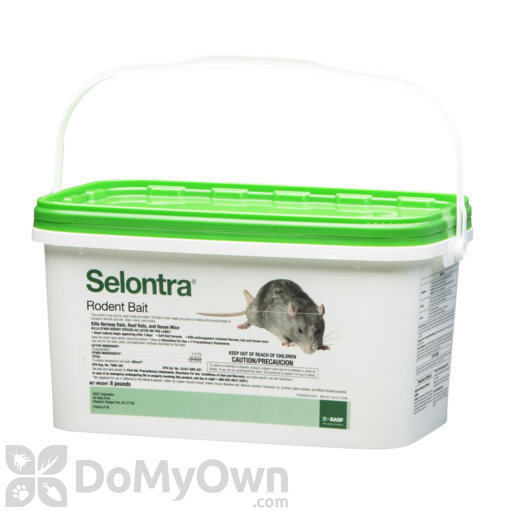 best mouse bait for commercial kitchens