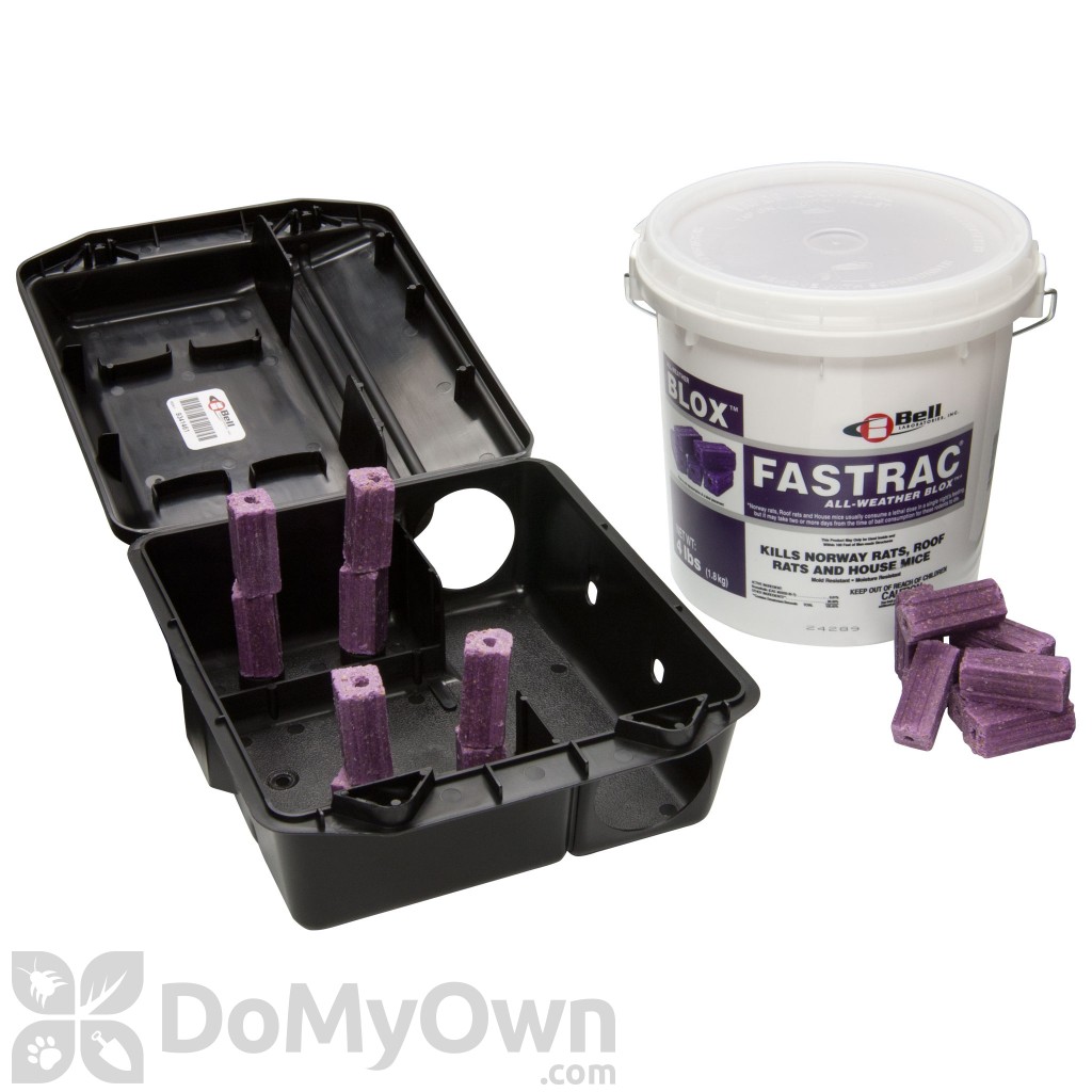 Complet mouse baiting kit to kill rodents fast