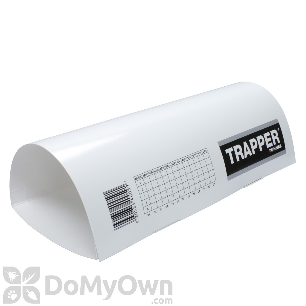 mouse trap for smart rodents