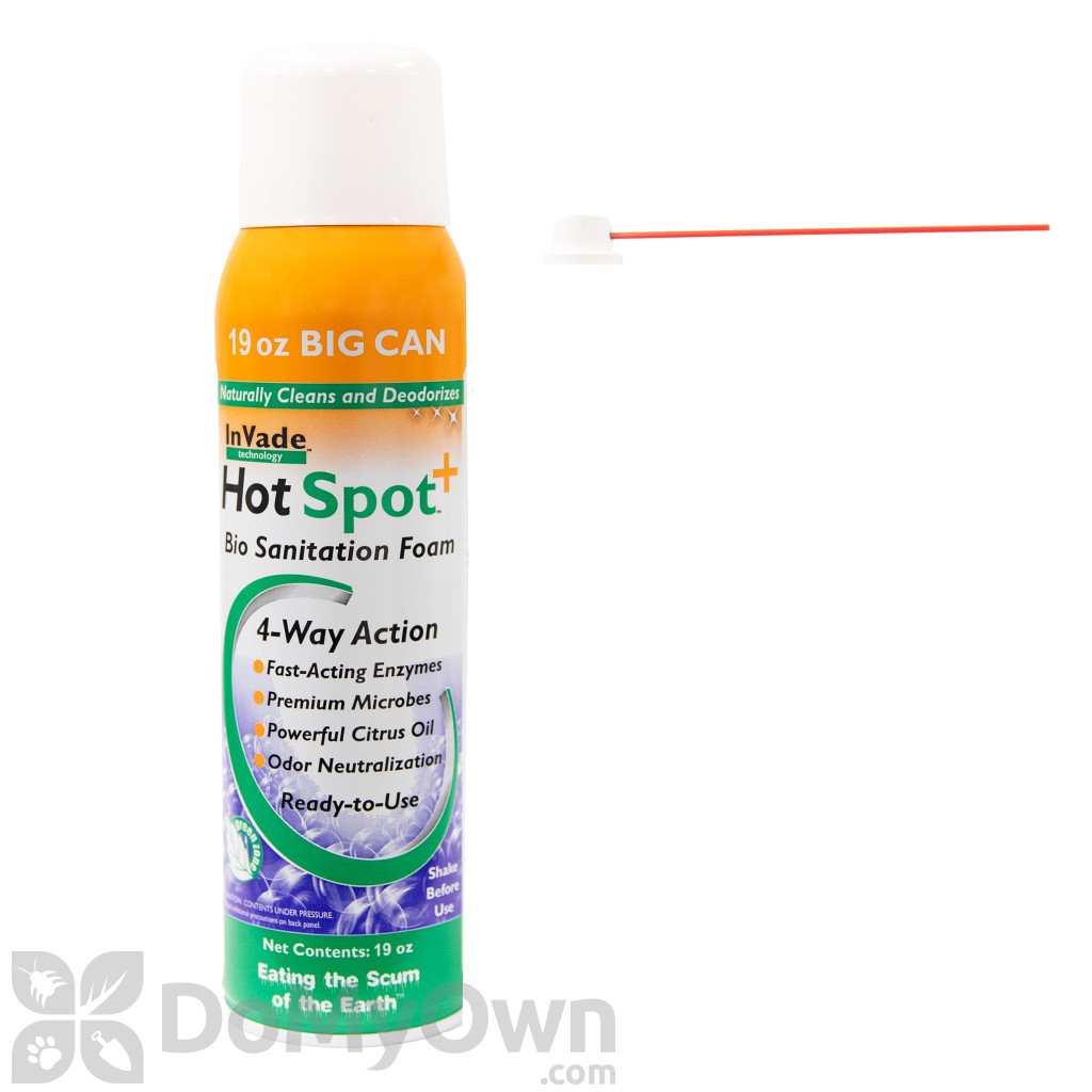 organic bio enzymatic drain fly foam